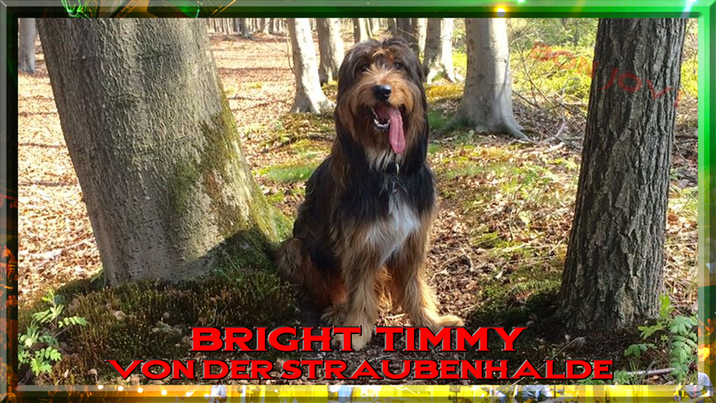 Wäller von der Straubenhalde